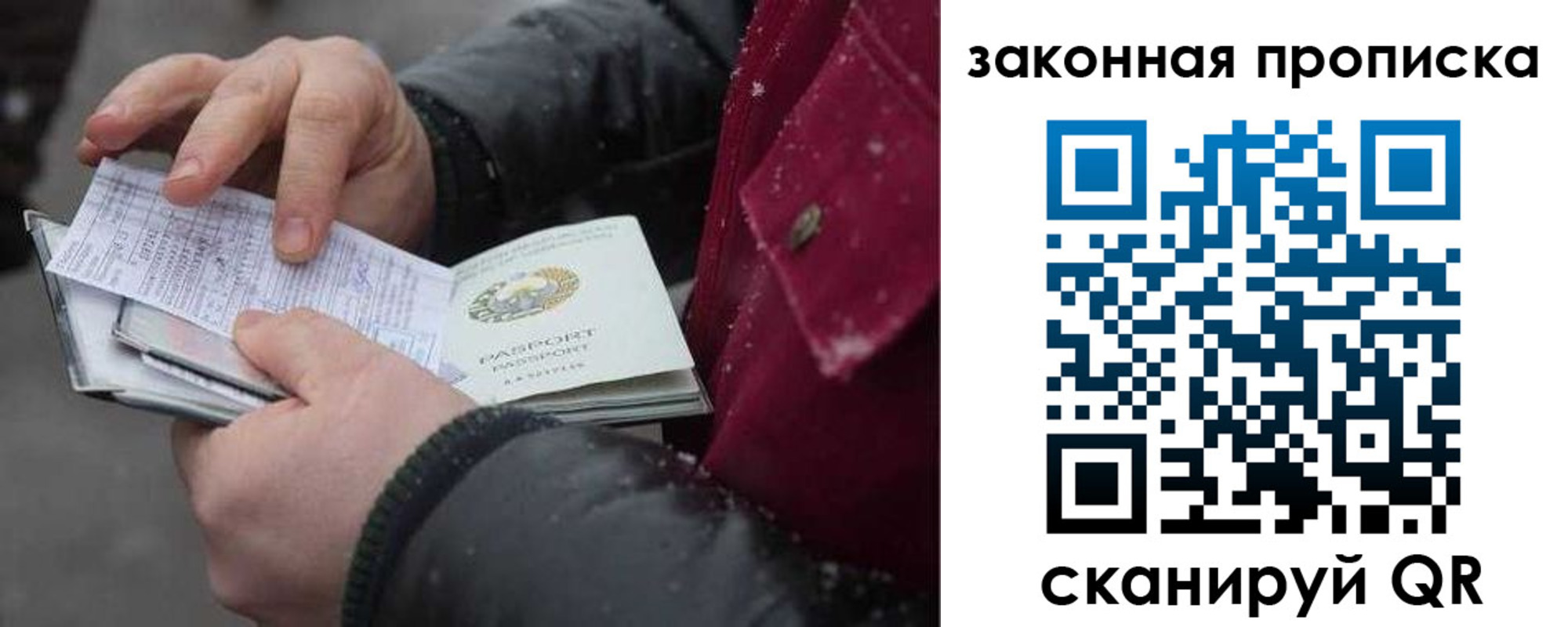 прописка поиск в Павлово